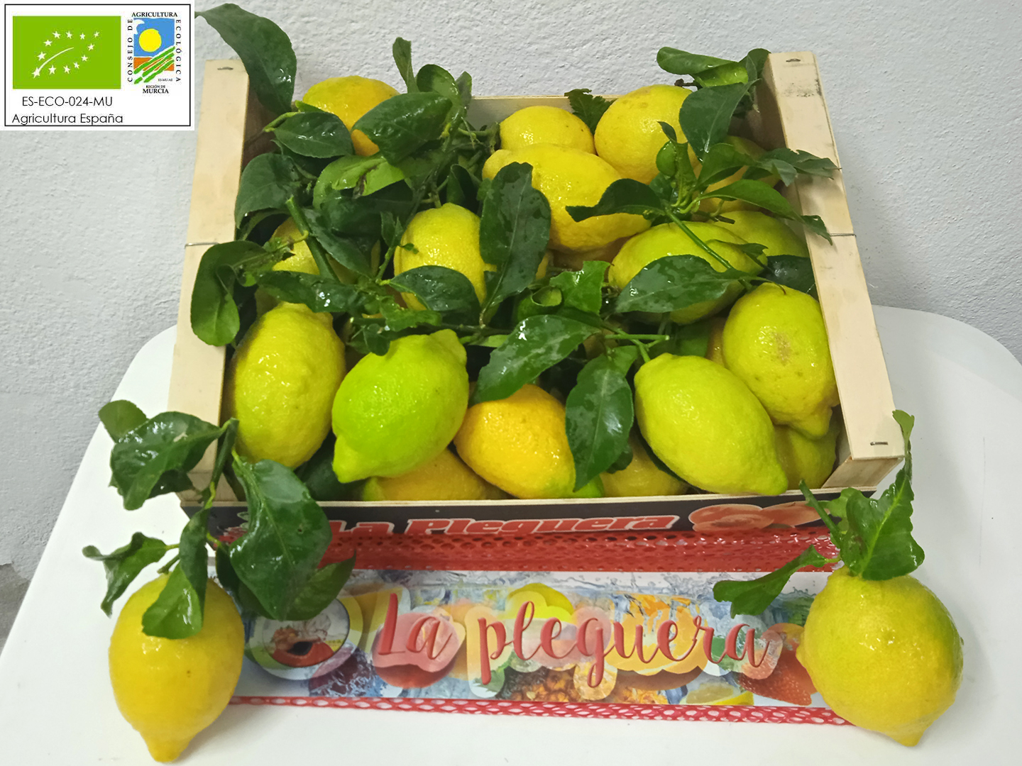 Limon Fino 95 Ecologico a granel 750 kg